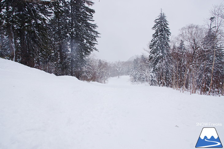 大雪山層雲峡黒岳ロープウェイスキー場 